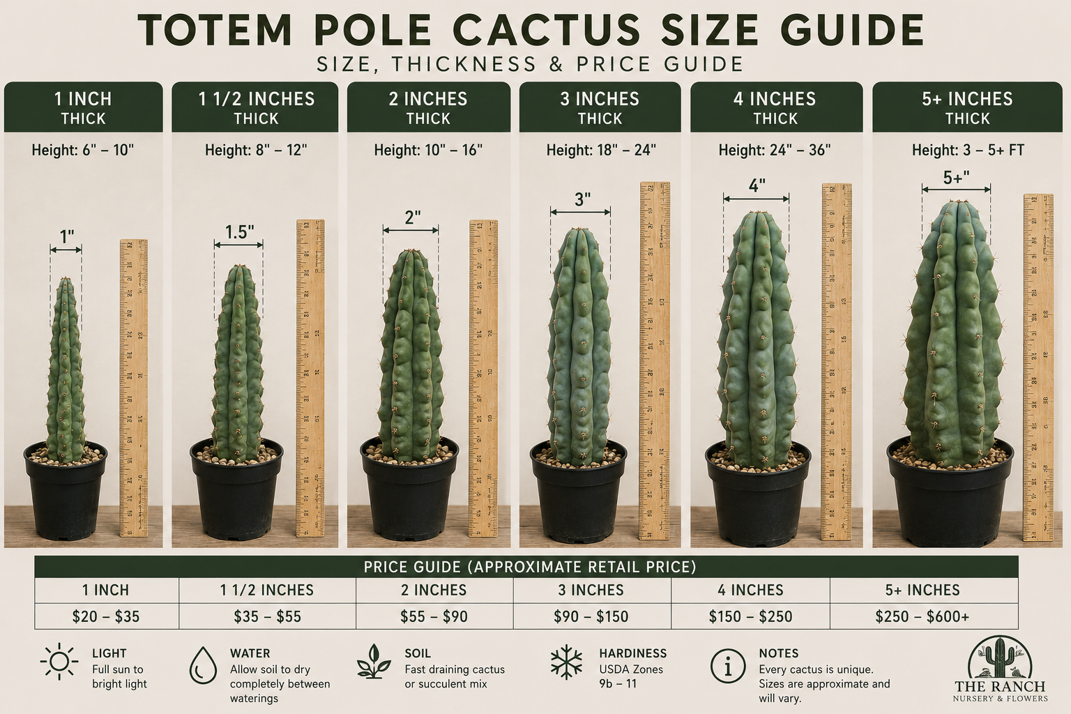 Totem Pole Cactus
